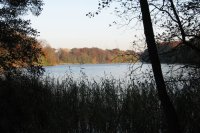 Schloss Meseberg - Umgebung