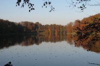 Schloss Meseberg - Umgebung