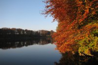 Schloss Meseberg - Umgebung